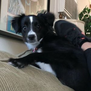 Meet your Posher, Ellen